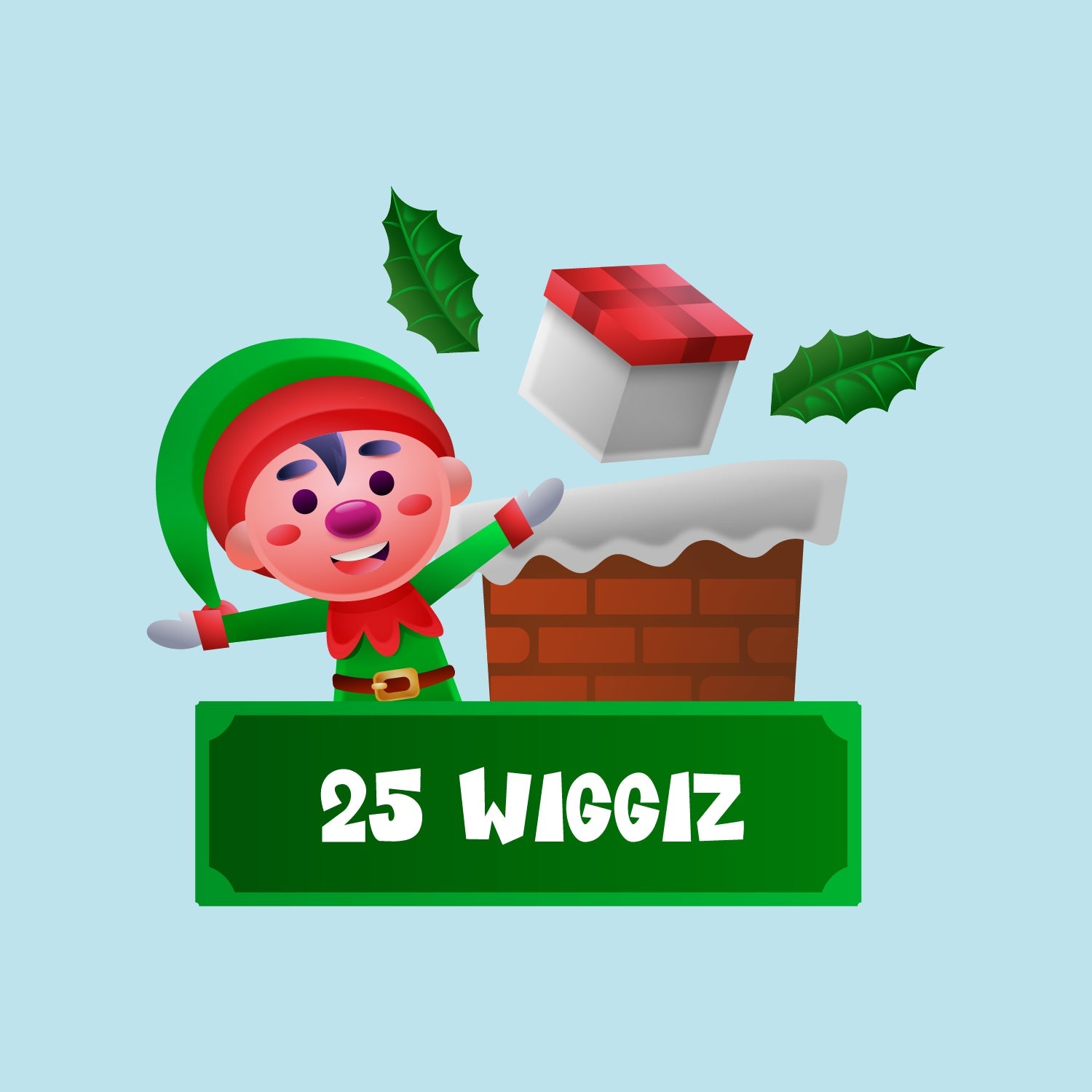 25 Wiggiz Bundle - Wiggiz