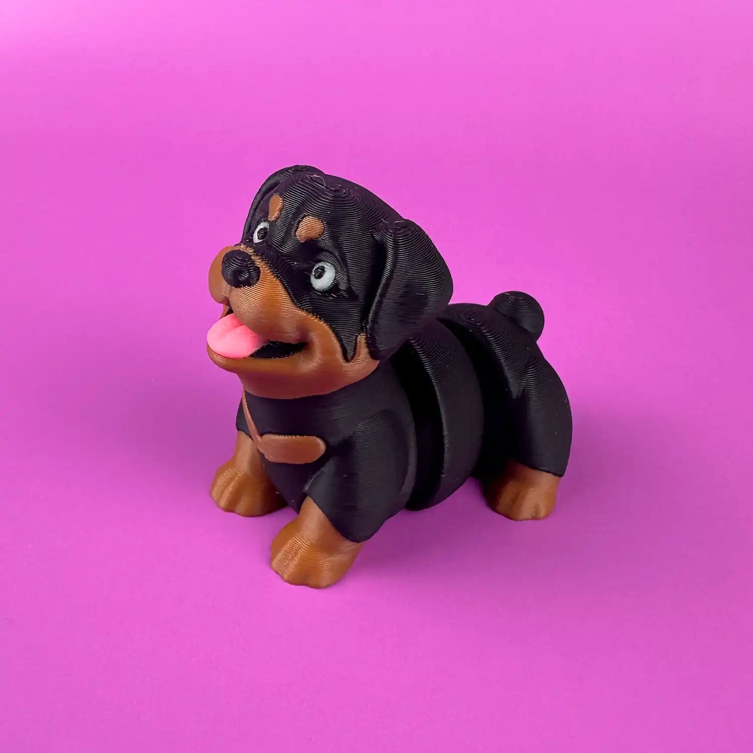 Rocky the Rottweiler