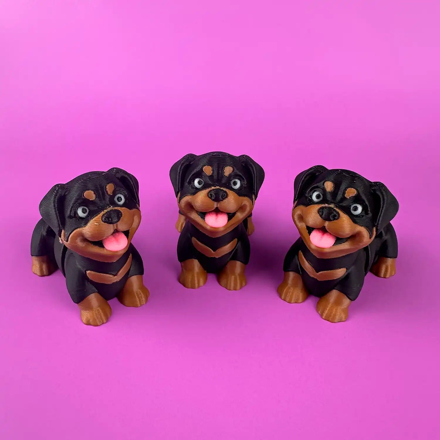 Rocky the Rottweiler