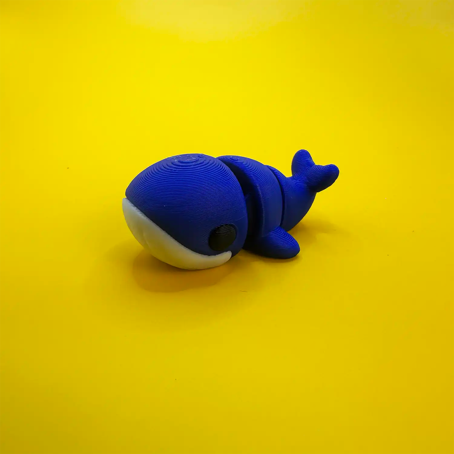 Atlas the Blue Whale