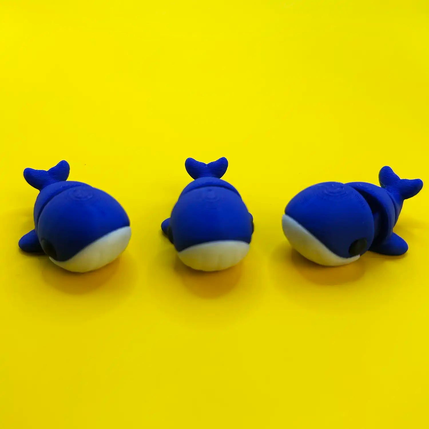 Atlas the Blue Whale